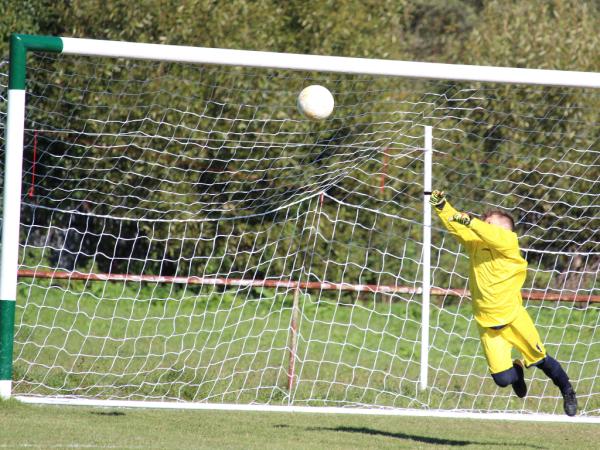 The Best Goalkeeper Gloves for Grassroots Keepers